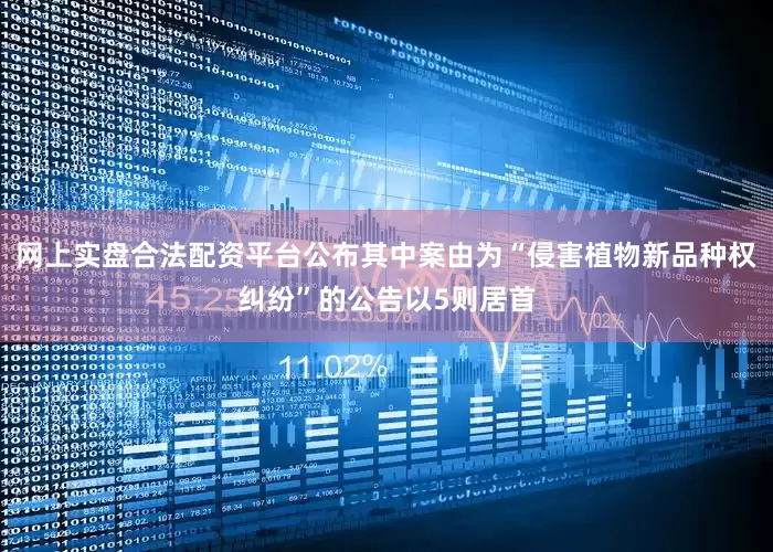 网上实盘合法配资平台公布其中案由为“侵害植物新品种权纠纷”的公告以5则居首