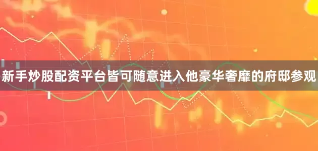 新手炒股配资平台皆可随意进入他豪华奢靡的府邸参观