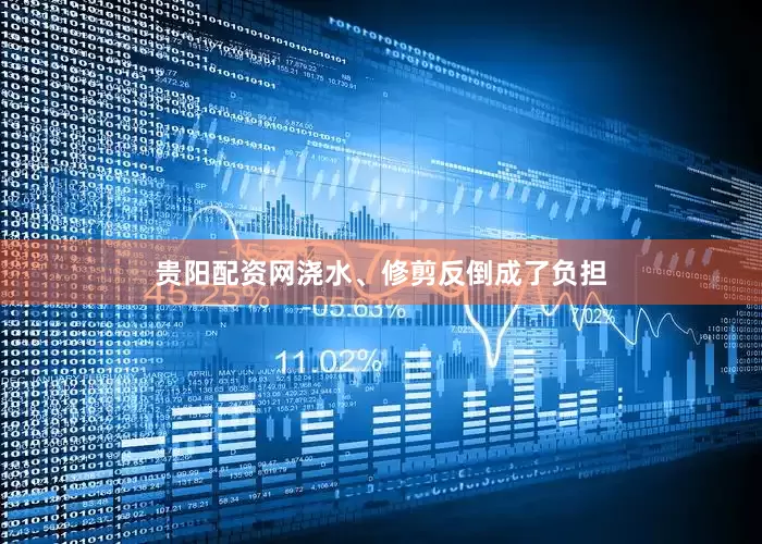 贵阳配资网浇水、修剪反倒成了负担