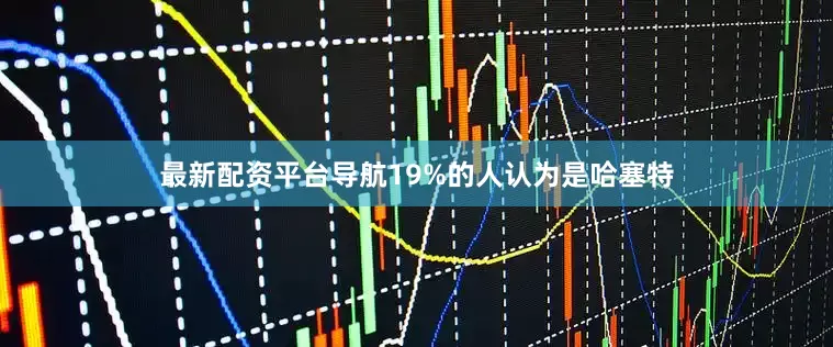 最新配资平台导航19%的人认为是哈塞特
